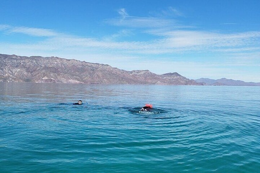 Snorkeling on the tour to Coronados Island
