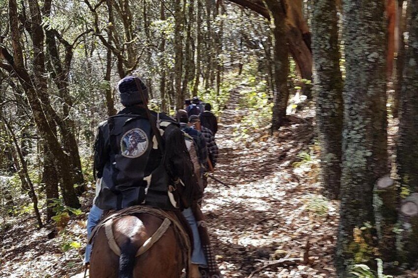 Horseback riding and camping in the mountains