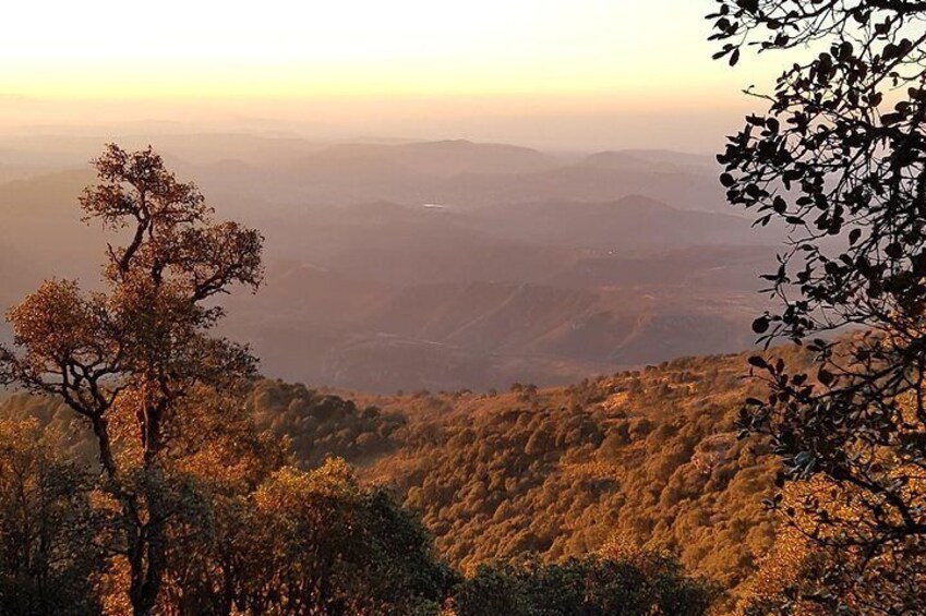 Horseback riding and camping in the mountains