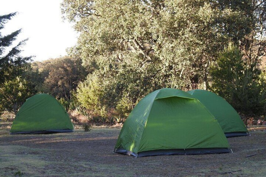 Horseback riding and camping in the mountains