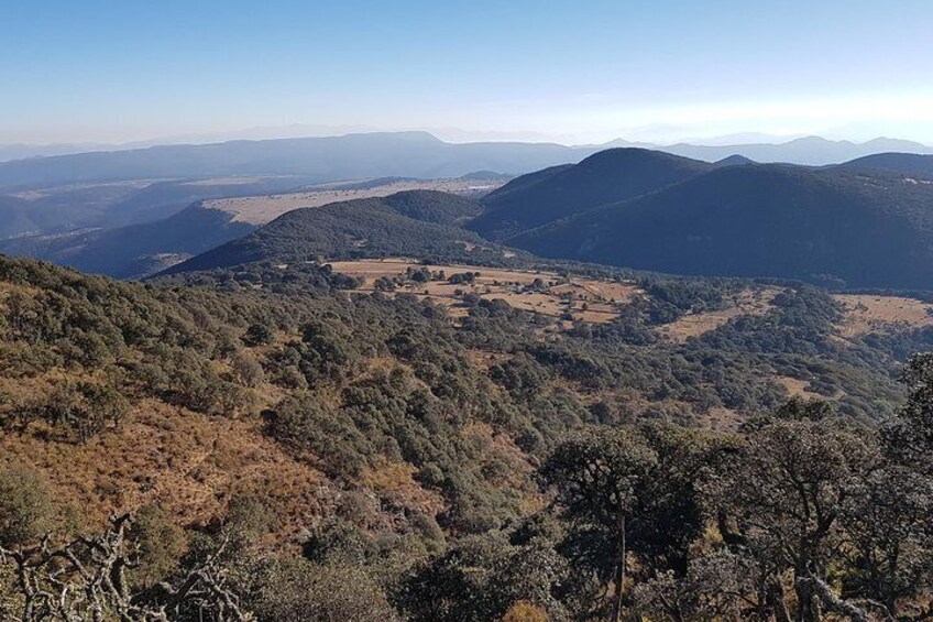 Horseback riding and camping in the mountains