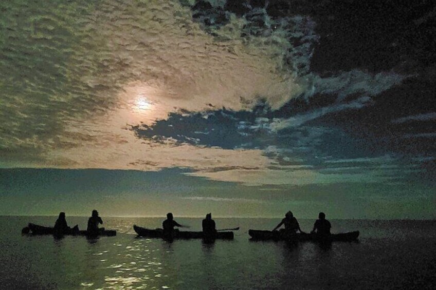 Bioluminescence Night kayak Isla Holbox