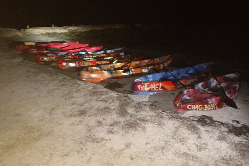 Bioluminescence Night kayak Isla Holbox