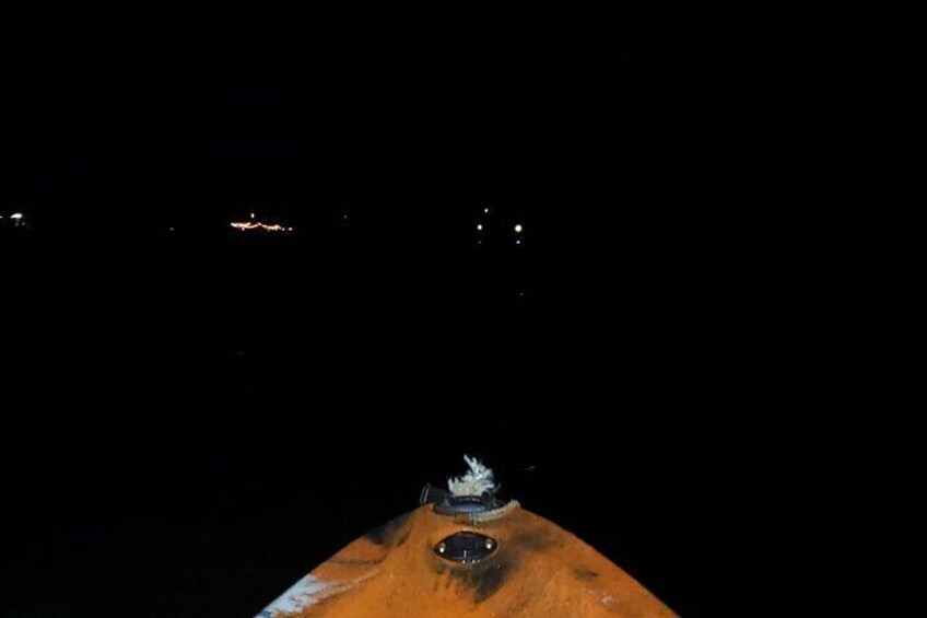 Bioluminescence Night kayak Isla Holbox