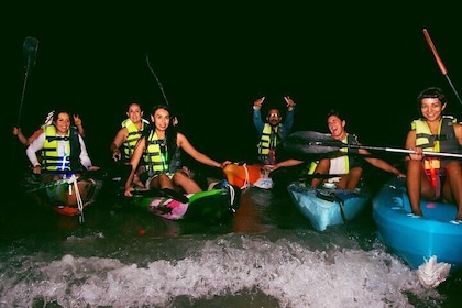Kayak experience and swiming with the bioluminescence in Holbox
