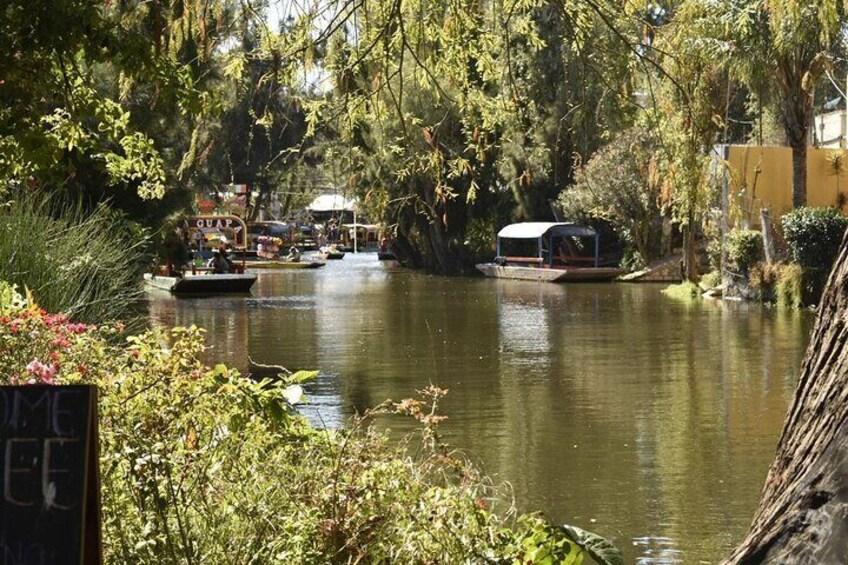 Private Xochimilco all inclusive, food, drinks and transportation