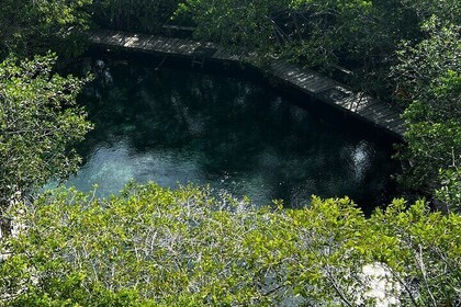 Private VIP tour to Cenote Yalahau in Holbox Island