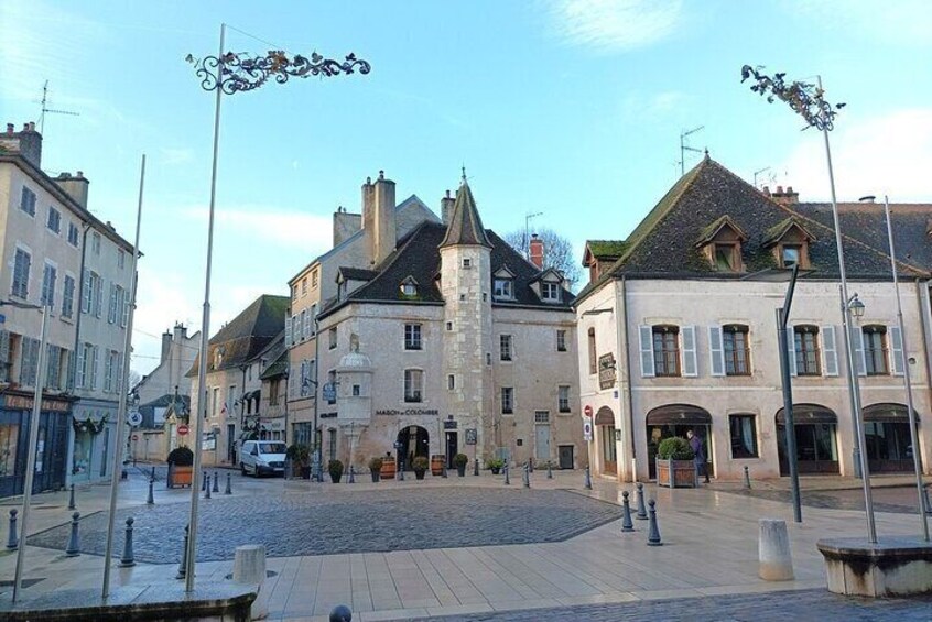 Beaune private guided tour with a professional tour guide