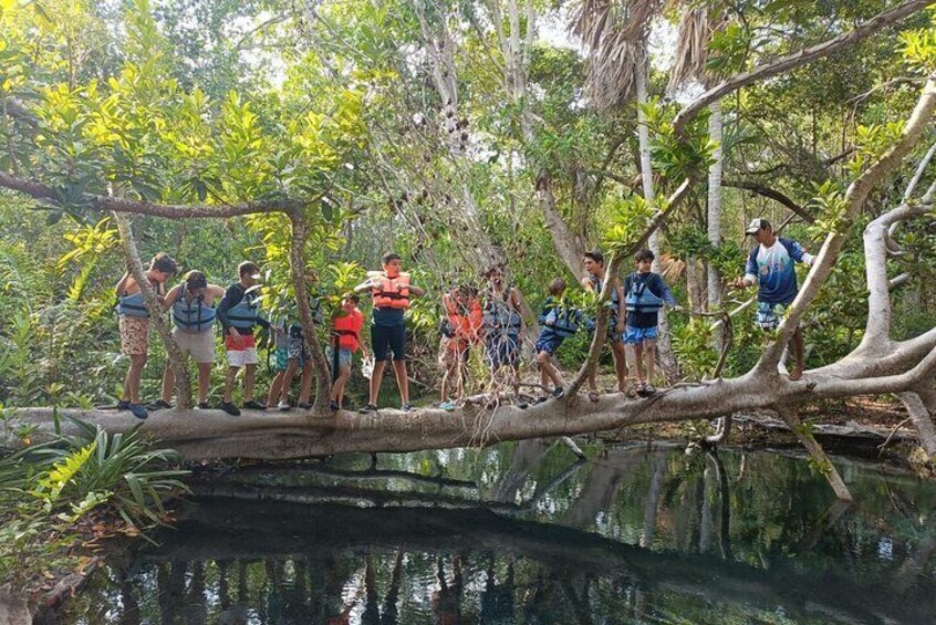 Discovering Sisal All Inclusive
