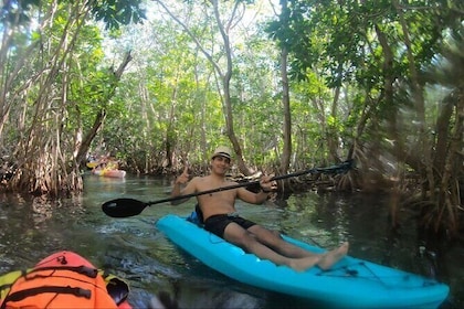 Kayak Adventure