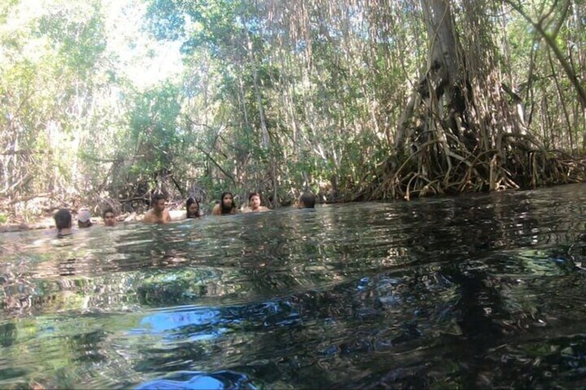 Swimming in Dzul-Ha Freshwater Eyes