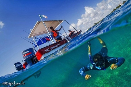 Snorkel boat tour in search of turtles