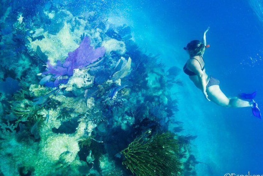 Snorkeling boat tour