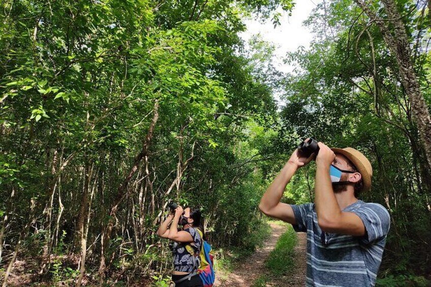 Bird Watching Tour in the Amazili Nature Reserve and Cenote Kax Ek