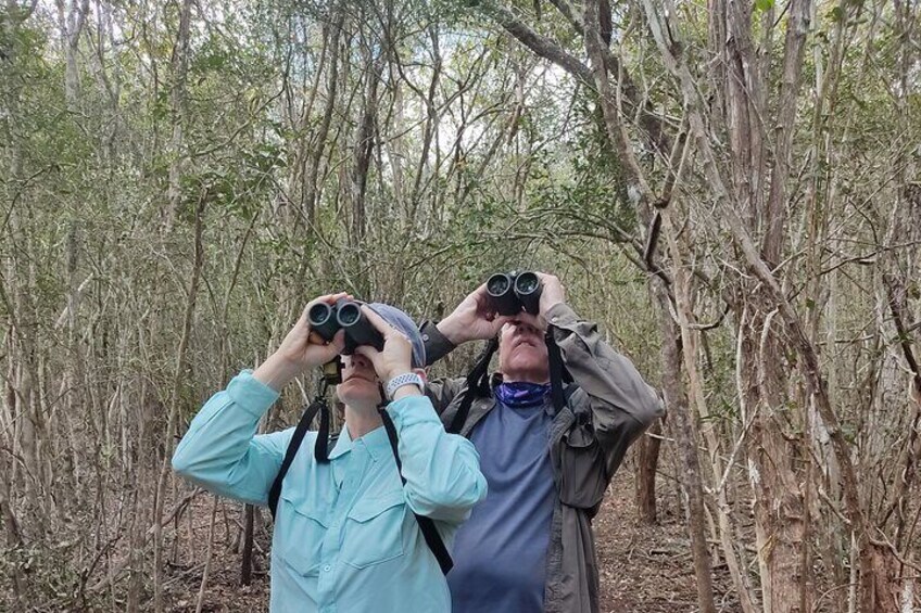 Birds and Mayan culture leaving from Valladolid by bus-Half day