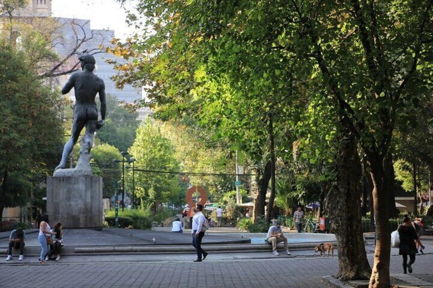 Enjoy your class in iconic parks of Mexico City