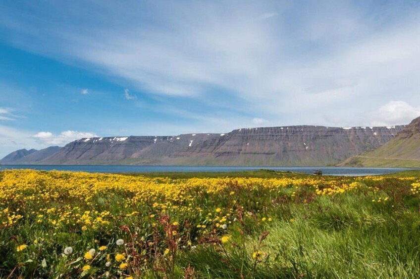 Borgarfjörður
