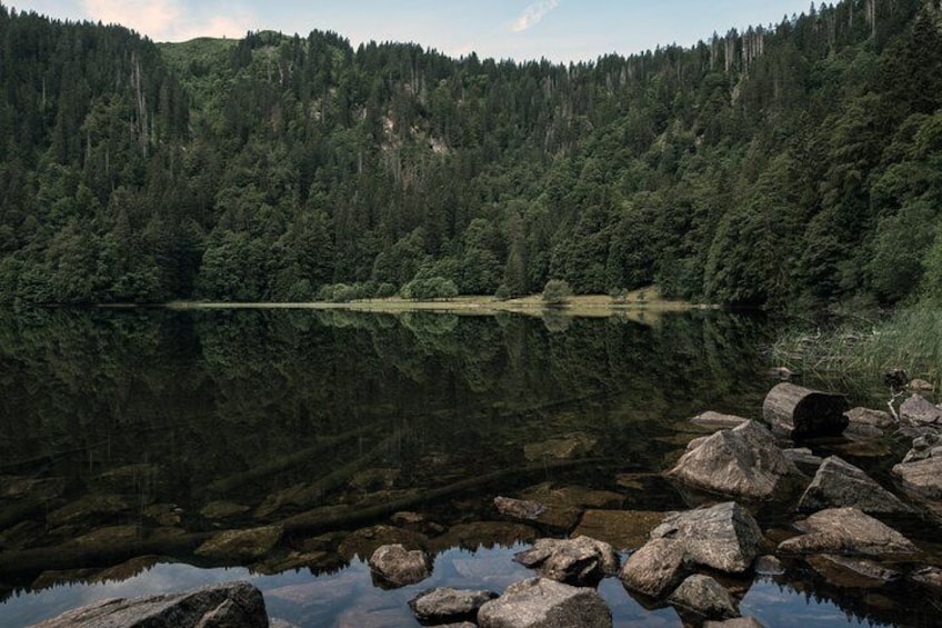 Panorama Private Hike through the Black Forest with a Local