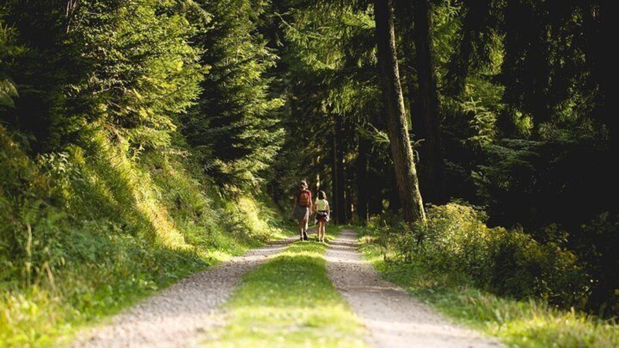 Panorama Private Hike through the Black Forest with a Local