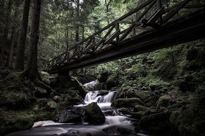 Culture and Traditions Hike through the Black Forest with a Local
