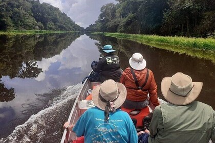 amazon full excursion 2/ Days /1 Night $ 240 USD