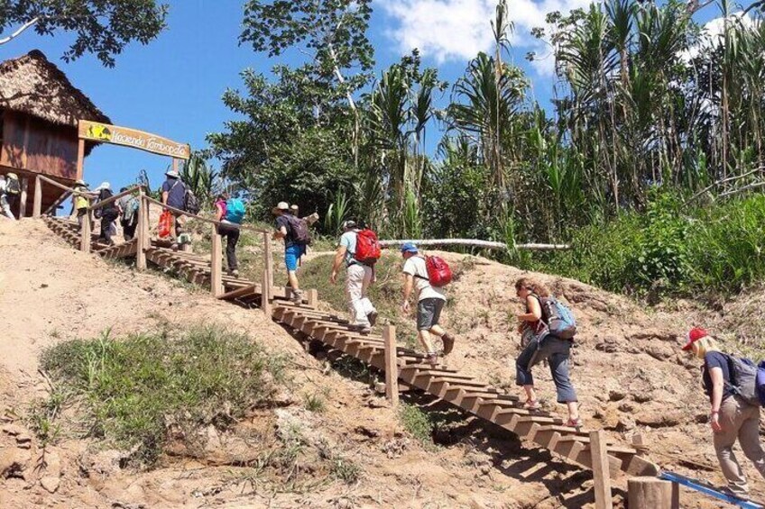 Macaw Collpa & Sandoval Lake 4 Days / 3 Nights