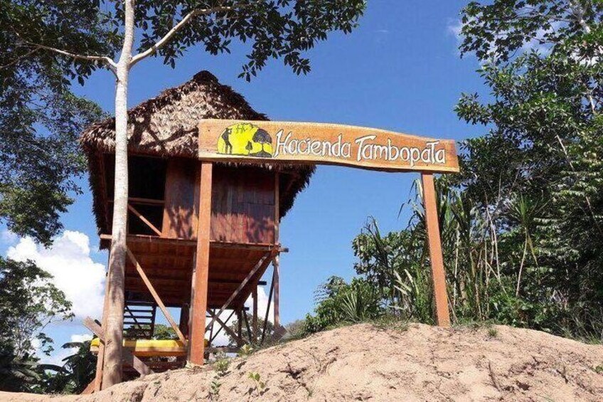 Macaw Collpa & Sandoval Lake 4 Days / 3 Nights