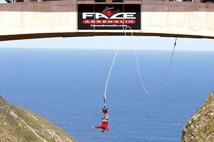 3 Day Big 5 and Bungee Tour - Garden Route Small Group Tour from Cape Town
