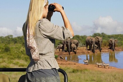 Private 5 Day Garden Route Getaway Safari Tour from Cape Town