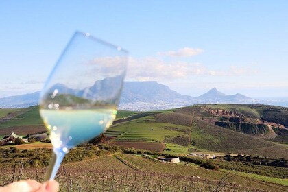 1 Day Durbanville Valley Wine Tasting Tour with Private Transfers