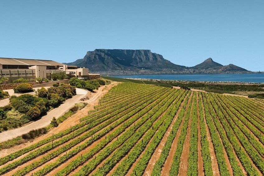 Private Tour: Durbanville Wine Valley Tasting Tour from Cape Town