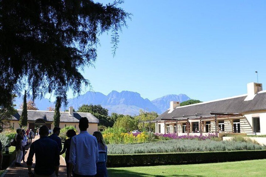 Vergelegen Gardens