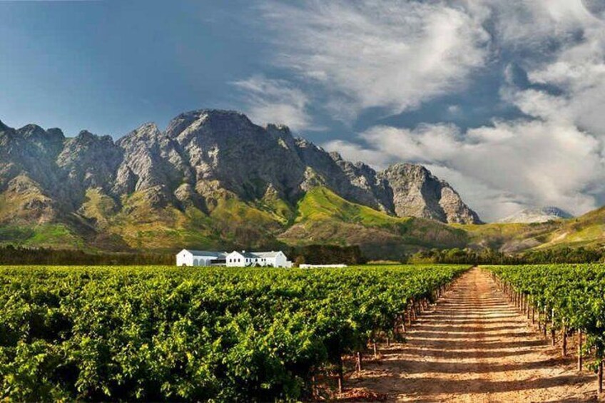 ( South Africa - Cape town ) Winelands Tasting Full Day Tour
