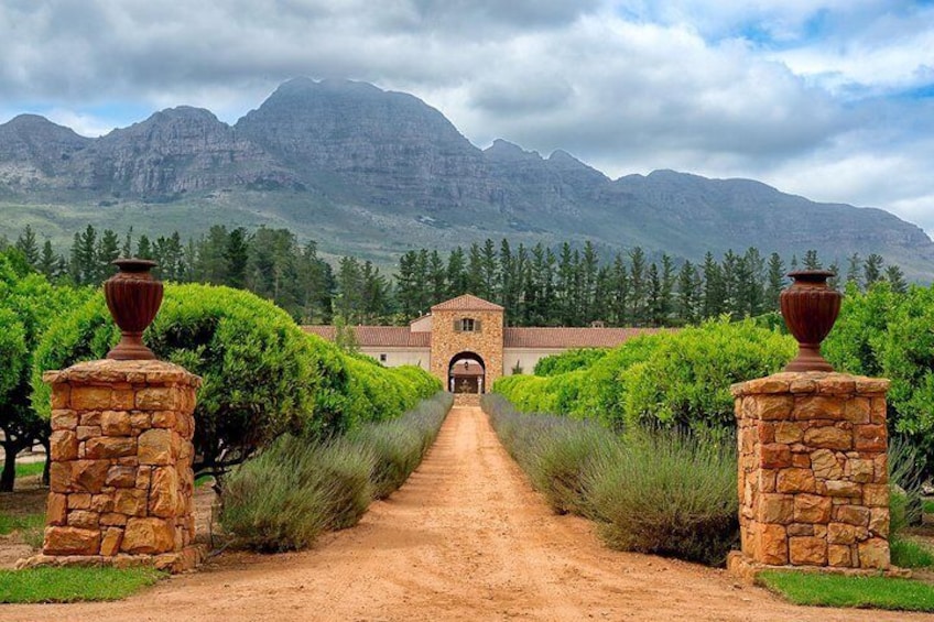 ( South Africa - Cape town ) Winelands Tasting Full Day Tour