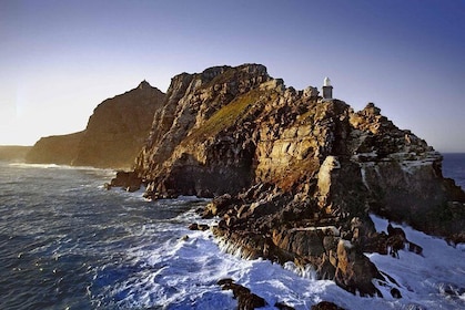 Excursión de un día a Cape Point y la península desde Ciudad del Cabo