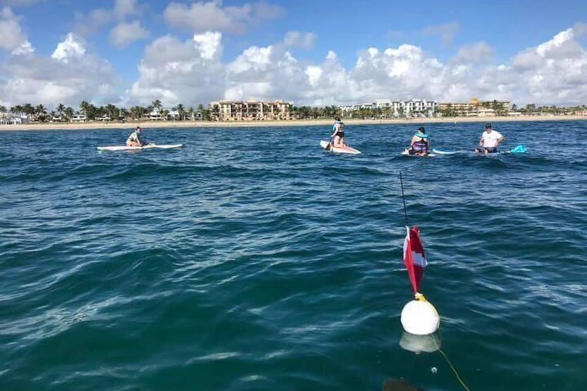 Reef Snorkel and Paddle Combo Tour of Fort Lauderdale Beach (Old Bio RocK)