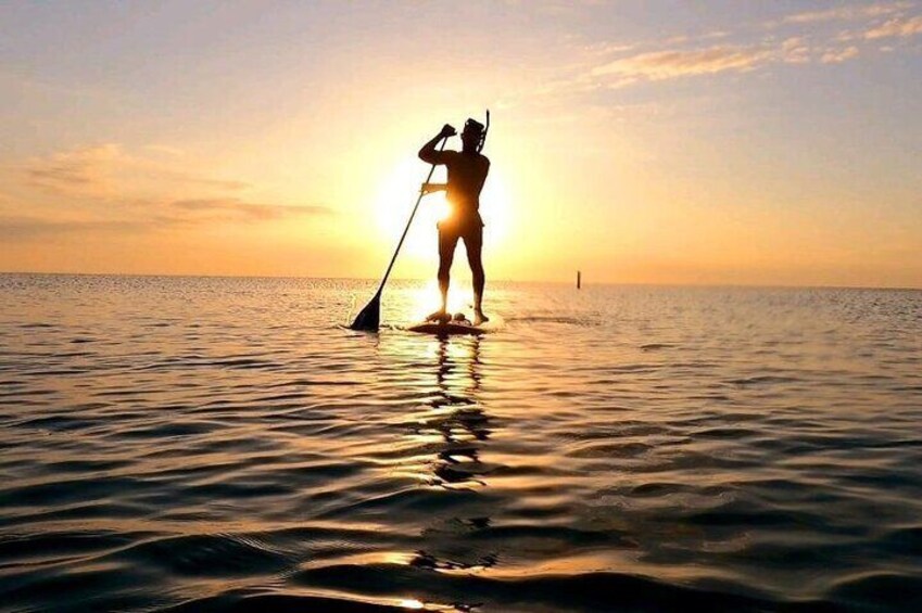 Reef Snorkel and Paddle Adventure in Fort Lauderdale Beach