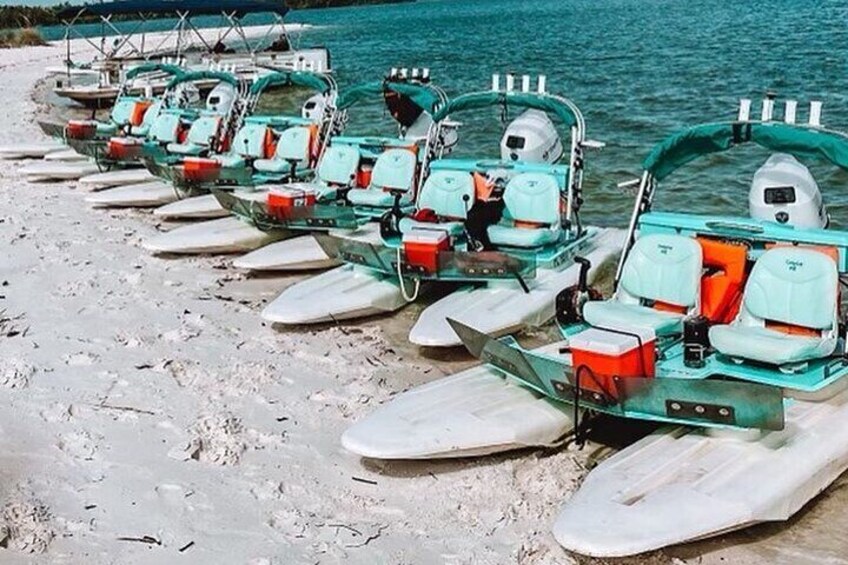 Backwater Adventure's CraigCat Tours of the 10,000 Islands
