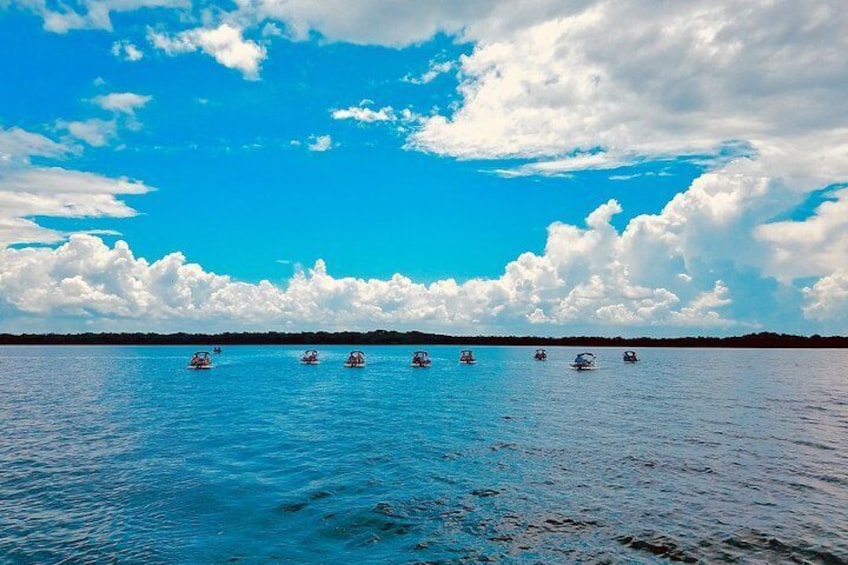 Backwater Adventure's CraigCat Tours of the 10,000 Islands