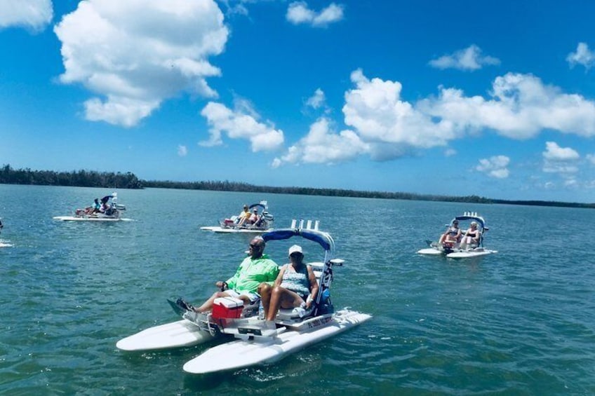 Backwater Adventure's CraigCat Tours of the 10,000 Islands