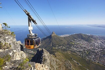 Table Mountain, Penguins, Cape of good hope and Stellenbosch tour