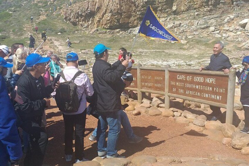 Table Mountain,Boulders Beach Penguin Colony and Cape of Good Hope Tour