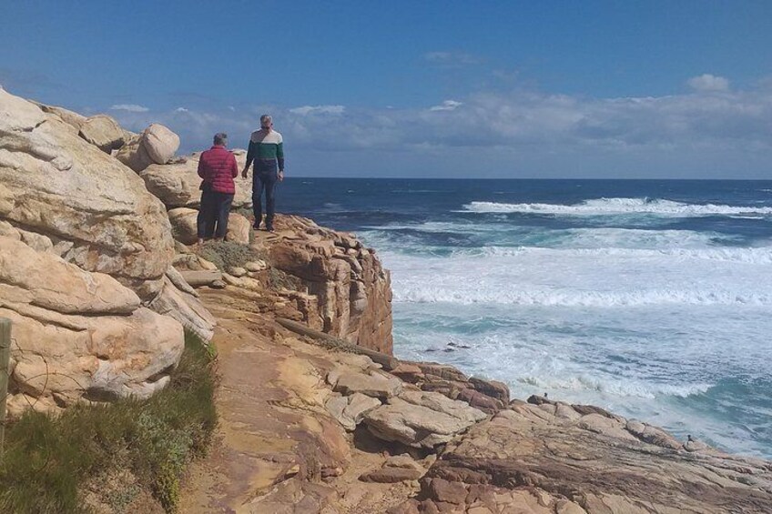 Table Mountain,Boulders Beach Penguin Colony and Cape of Good Hope Tour