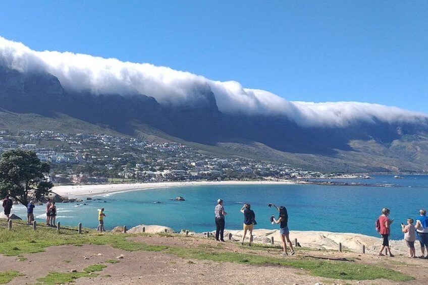 Table Mountain,Boulders Beach Penguin Colony and Cape of Good Hope Tour