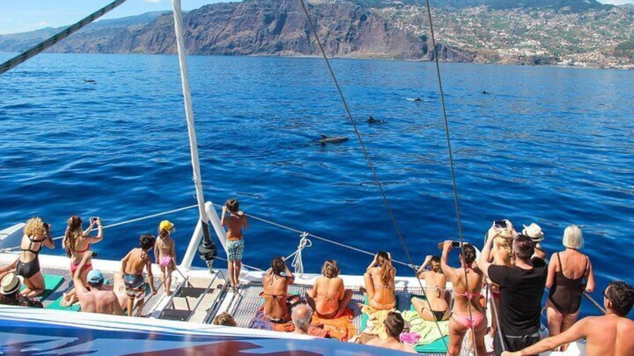 Front view of the Catamaran and Cabo Girão