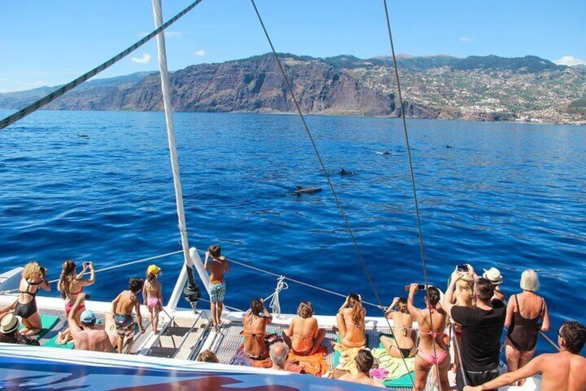 Front view of the Catamaran and Cabo Girão