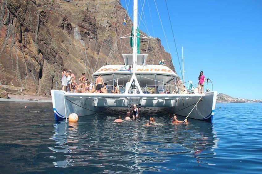 Dolphin and Whale Watching Catamaran Cruise from Funchal