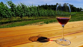 Fraser Valley Private Wine Tasting Tour with Gourmet Lunch