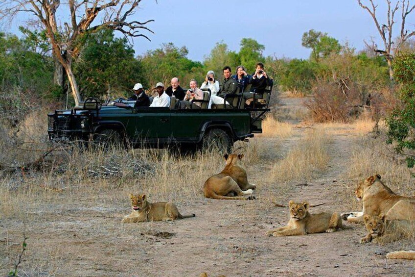 Cape Town 3-Day Attraction Tour:Aquila Safari Tour & Wine Tasing & Robben Island