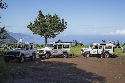 Den fortryllende nord - Jeep Safari Tour - Fuld dag